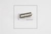 PE Automotive 067.114-00A Locking Pin